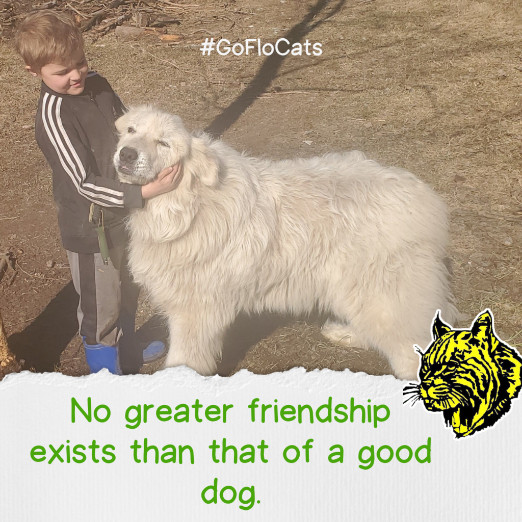 No greater friendship exists than that of a good dog.