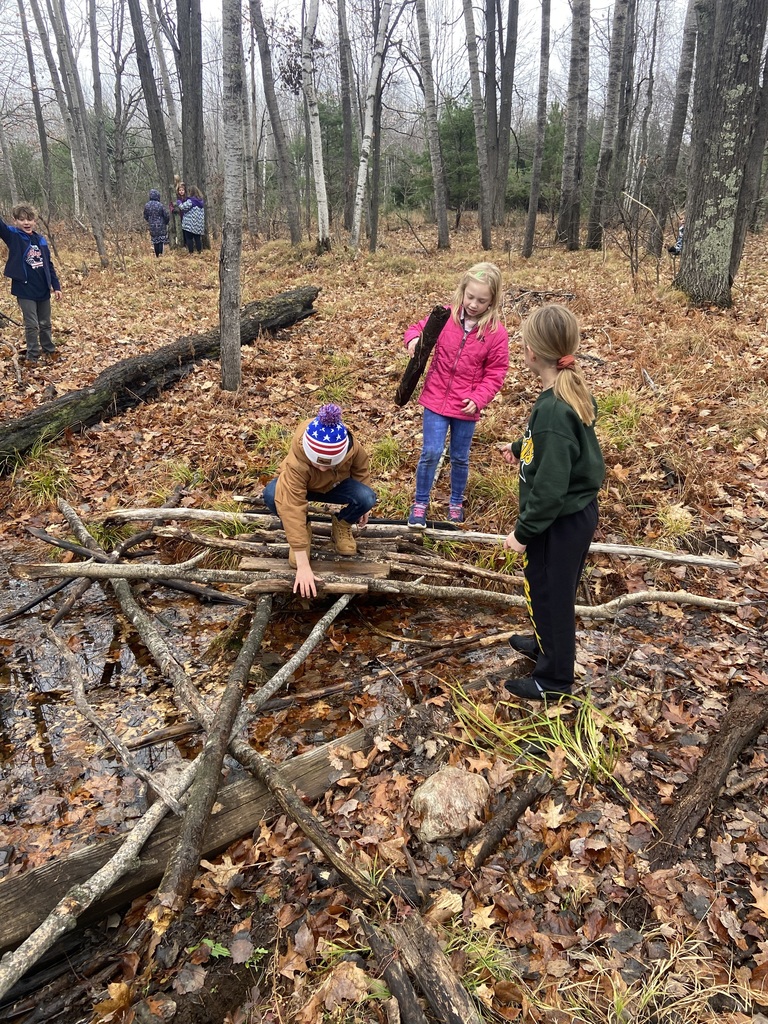 Third Graders work together using natural resources from the forest for a bridge project.