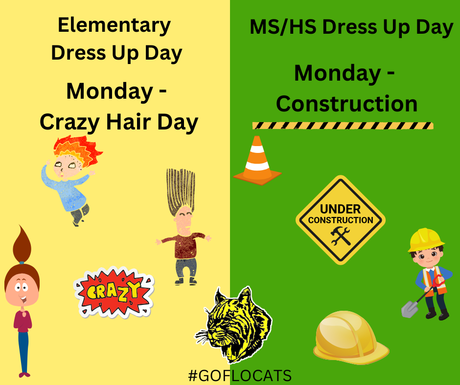Elementary Dress Up Day Crazy Hair Day MS/HS Construction